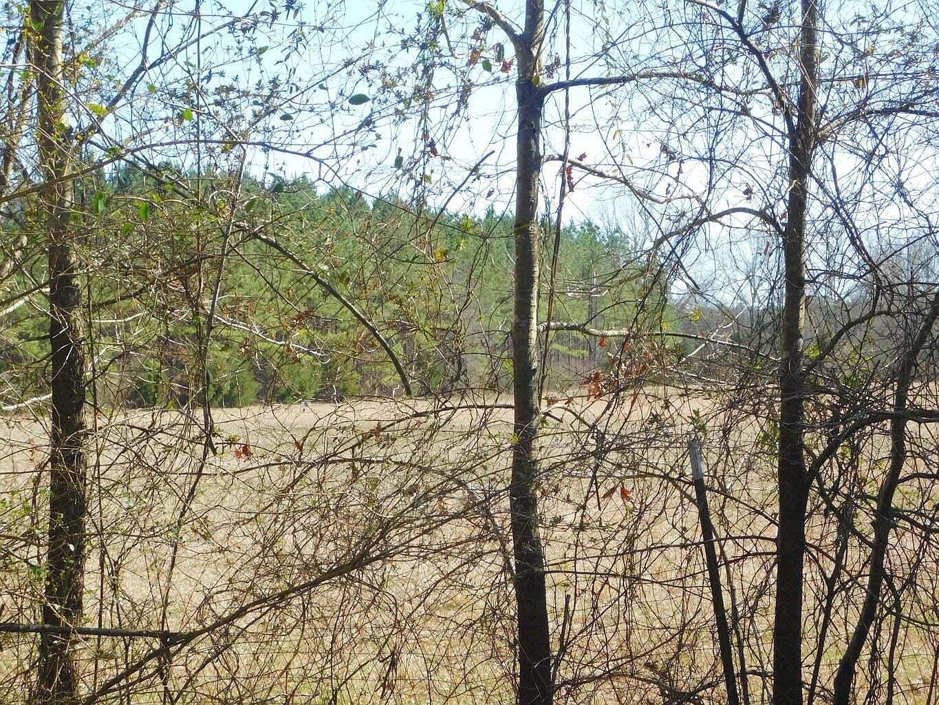 161 County Road 213 Houston, MS 38851 - Thumbnail 5