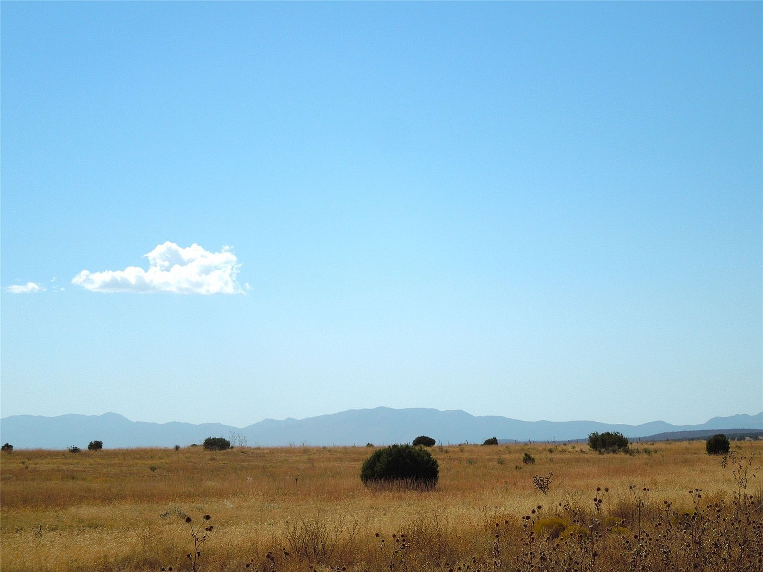 117 S Estancia, NM 87016 - Thumbnail 5