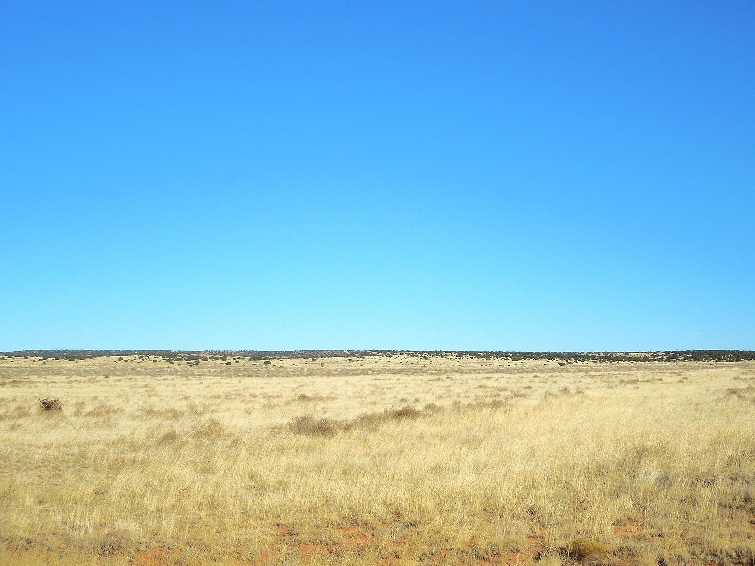 20 Tract 22 #12 Estancia, NM 87016 - Thumbnail 5