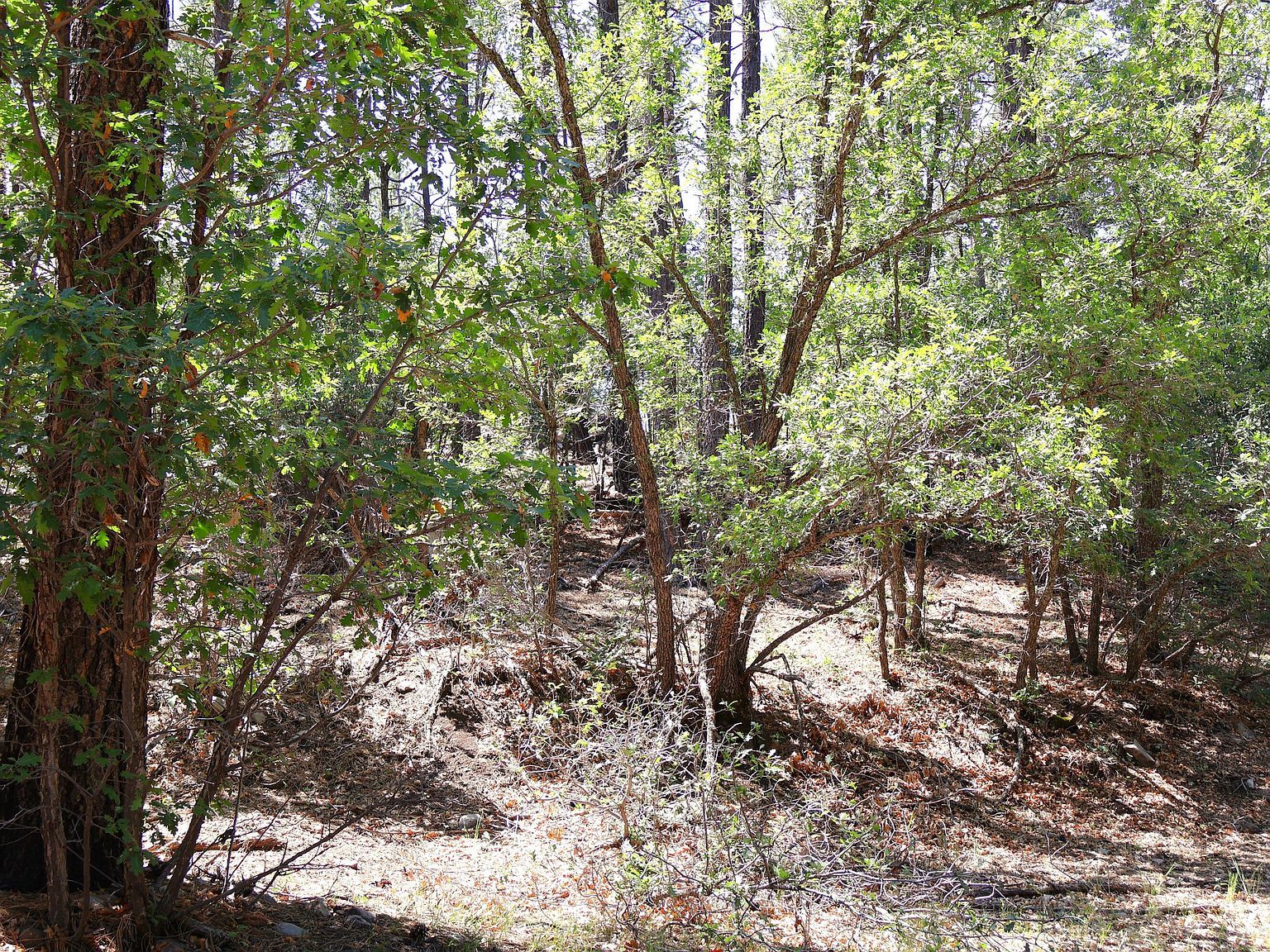 5 Sherwood Forest Dr Torreon, NM 87061 - Thumbnail 5