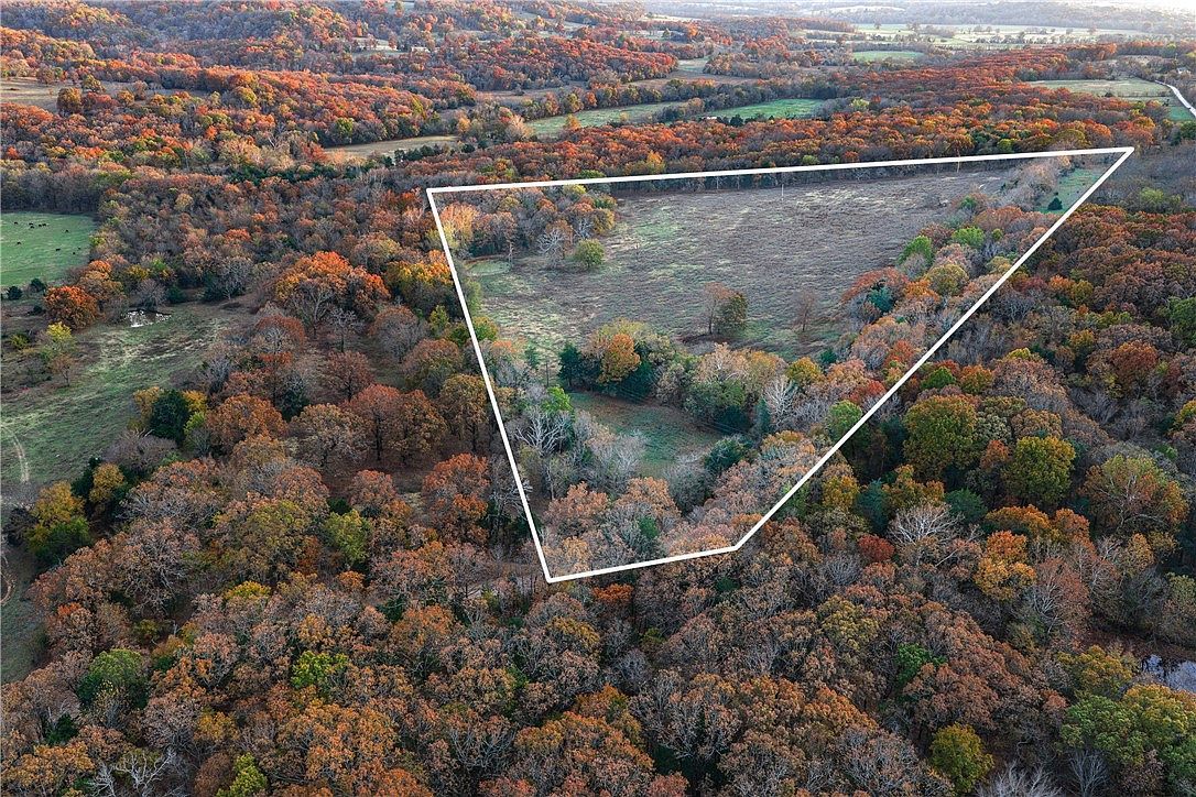 19137 Vineyard Rd Canehill, AR 72717 - Thumbnail 5