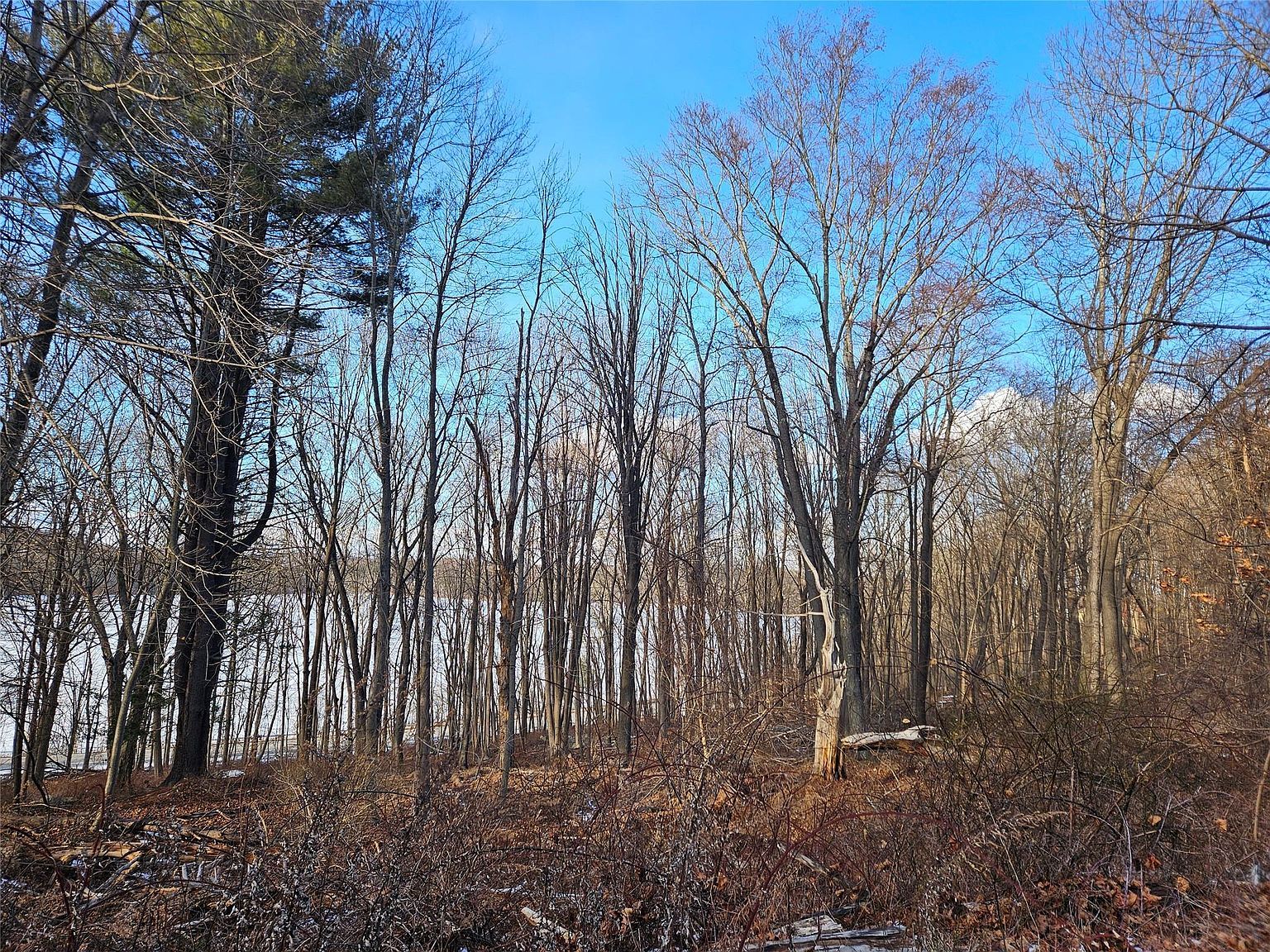 6 Willow Rd Carmel, NY 10512 - Thumbnail 5