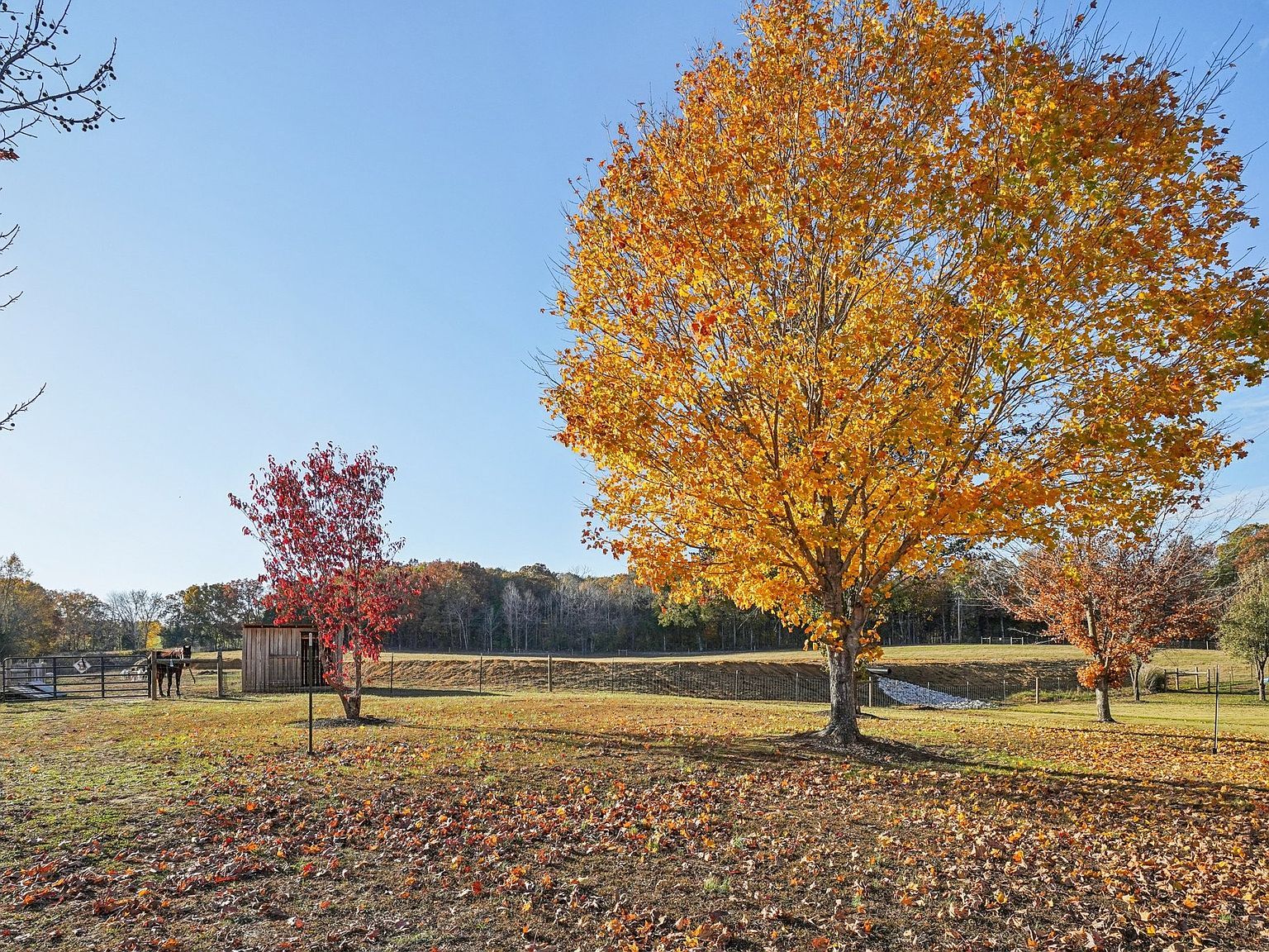 380 Warden Ln Russellville, KY 42276 - Thumbnail 5