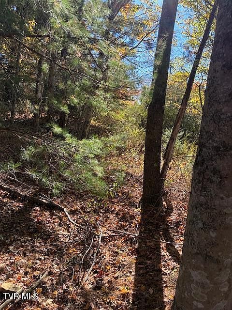 0 Country Meadow Dr Norton, VA 24273 - Thumbnail 5