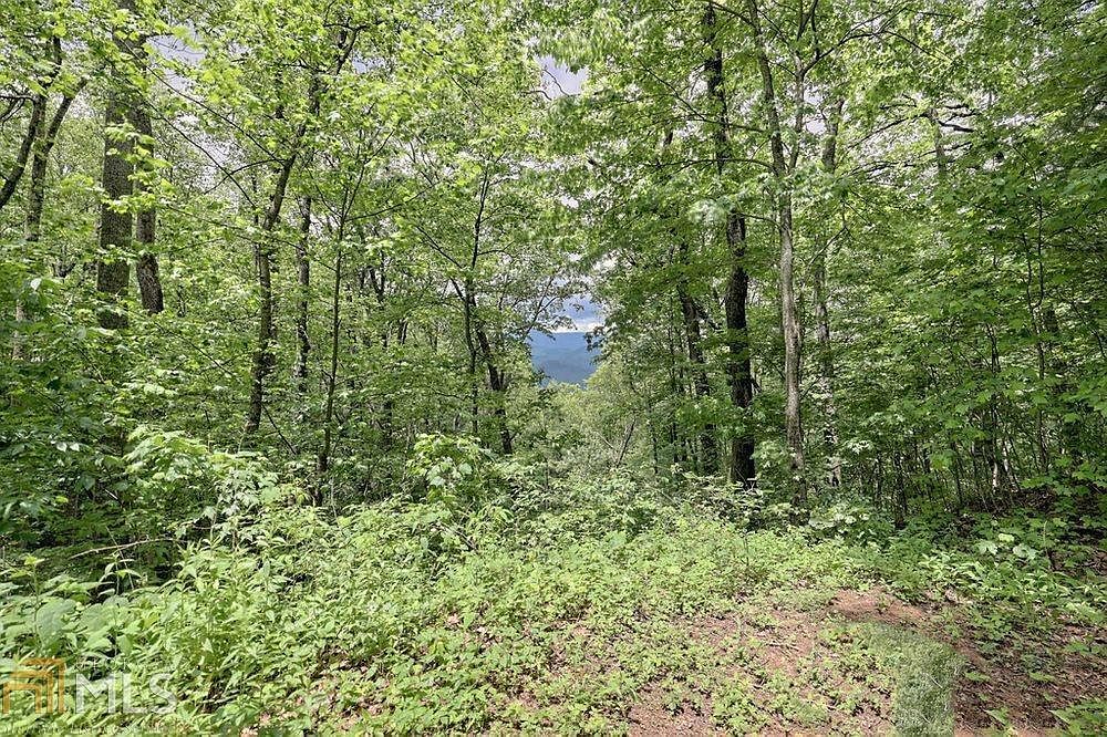 0 Deep Woods LOT 9 Rabun Gap, GA 30568 - Thumbnail 5