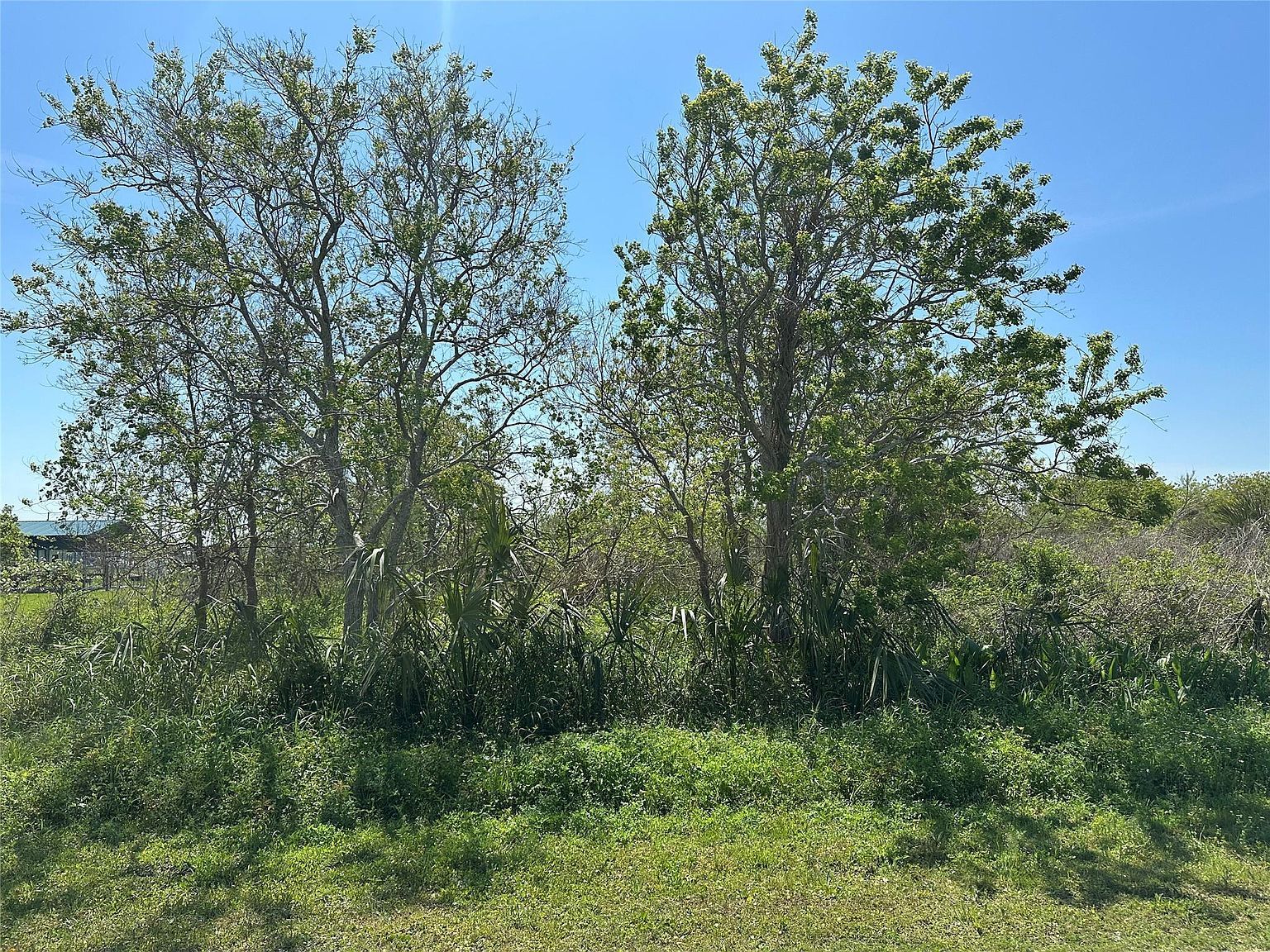 819 Highway 87 Pt Bolivar, TX 77650 - Thumbnail 5