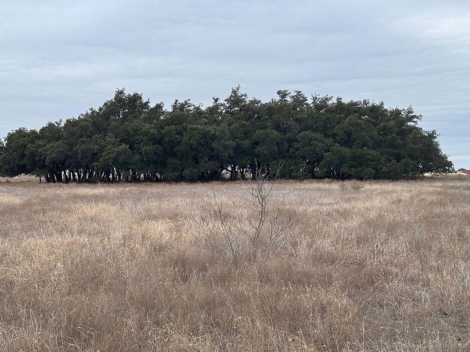 Tbd1 Cres #221 Florence, TX 76527 - Thumbnail 5