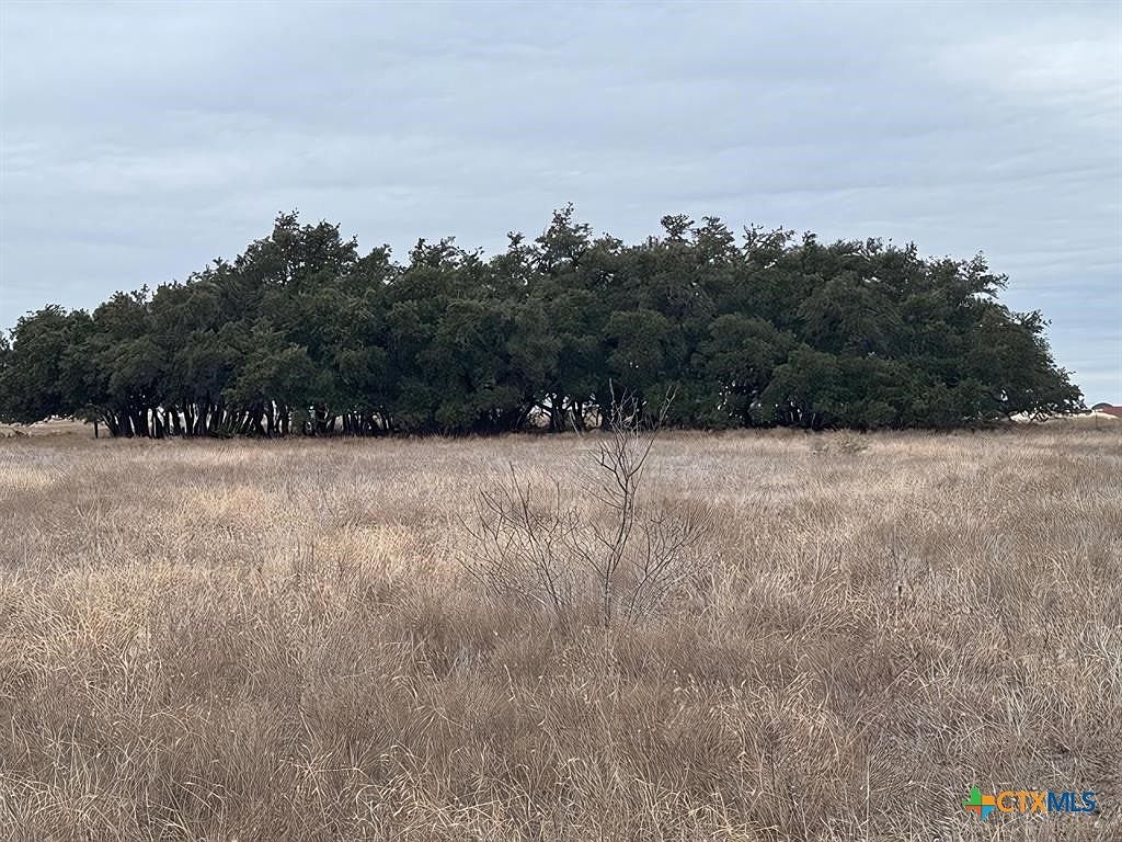 Tbd1 County Rd #221 Florence, TX 76527 - Thumbnail 5