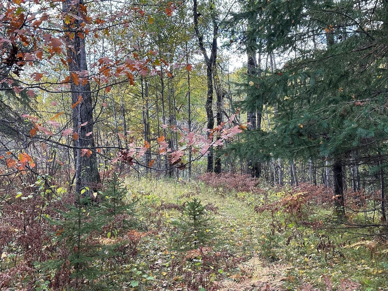 10297 Rocky Run Rd Harshaw, WI 54529 - Thumbnail 5