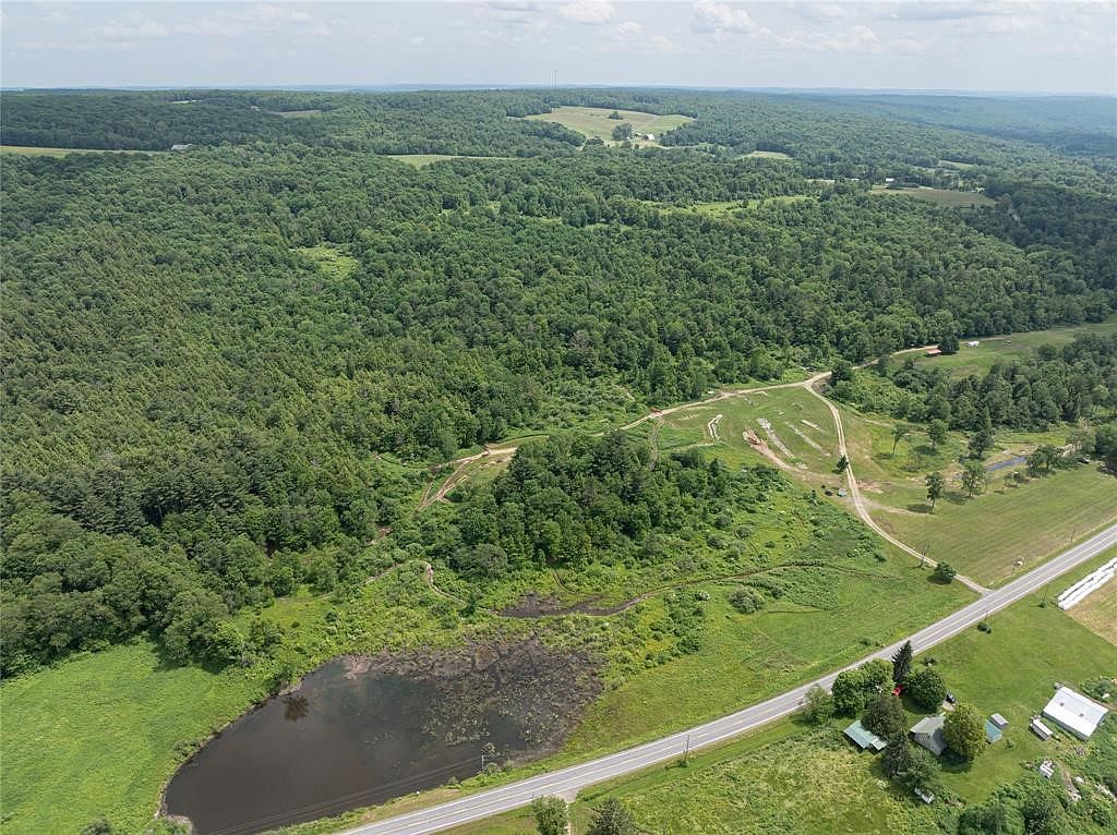 164 County Road 8 Mc Donough, NY 13801 - Thumbnail 5