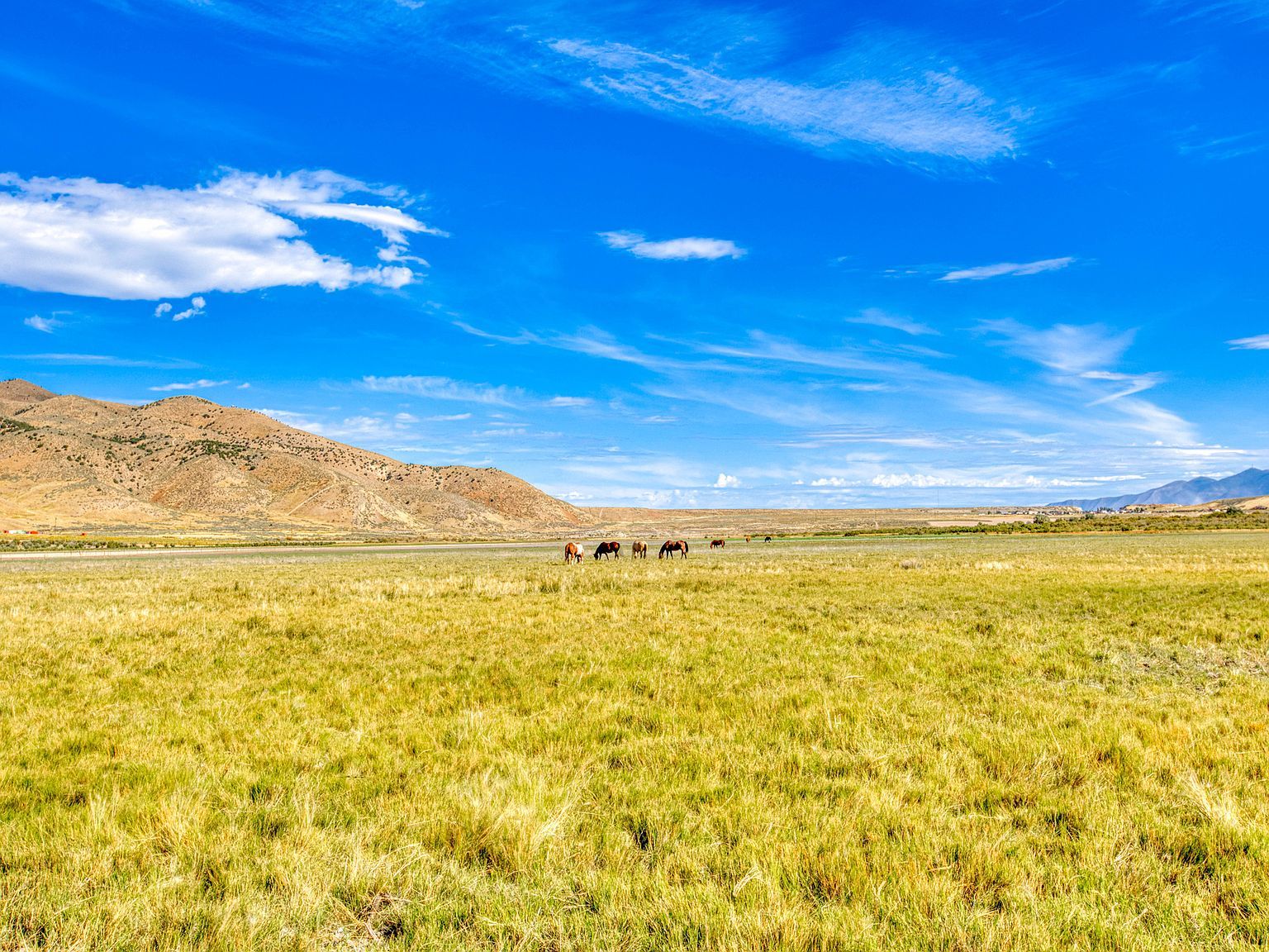 750 S 1150 W Stockton, UT 84071 - Thumbnail 5