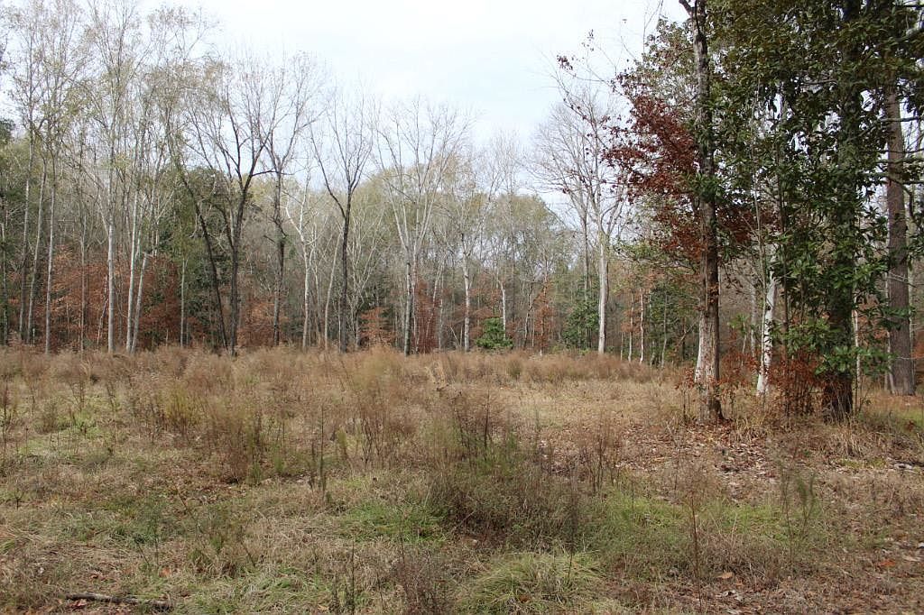 165 Dickerson McKay Dr Milam, TX 75959 - Thumbnail 5