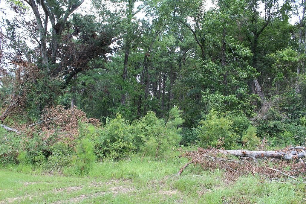 231 Palo Gaucho Xing Hemphill, TX 75948 - Thumbnail 5