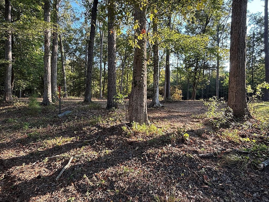 1198 Vantage Point Hemphill, TX 75948 - Thumbnail 5