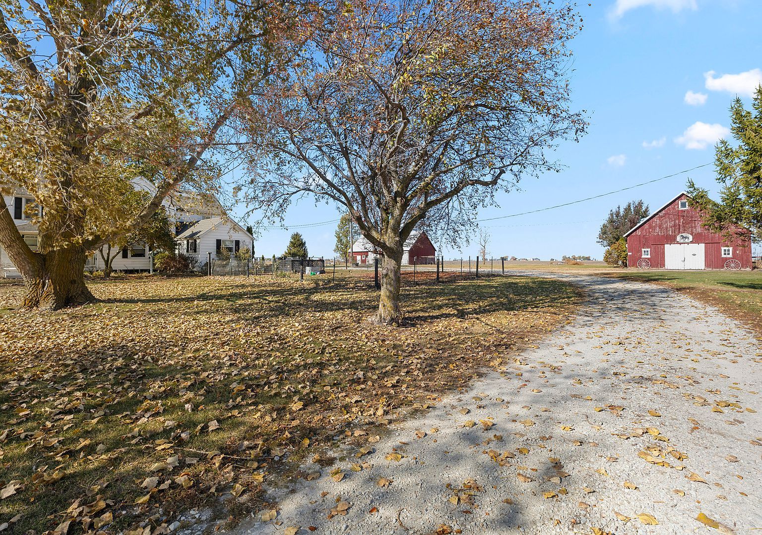 1624 E 1200 North Rd Milford, IL 60953 - Thumbnail 5