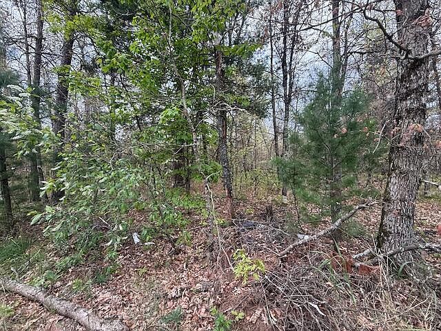 Vl Mount Vernon Ave Idlewild, MI 49642 - Thumbnail 5