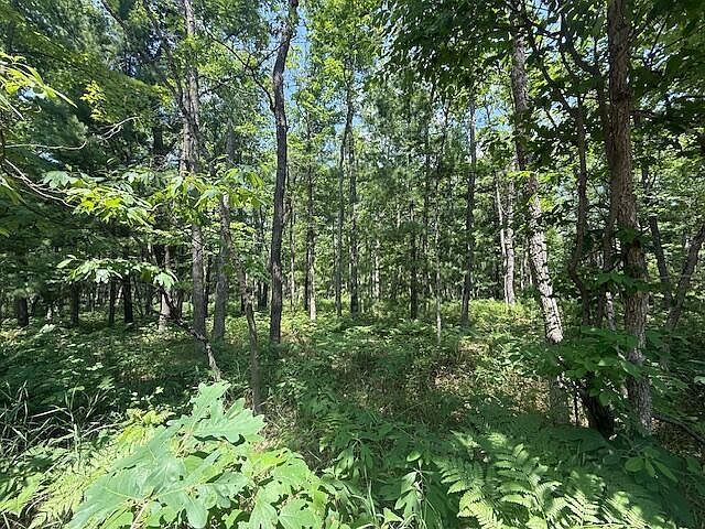 W Cleveland Dr Bitely, MI 49309 - Thumbnail 5