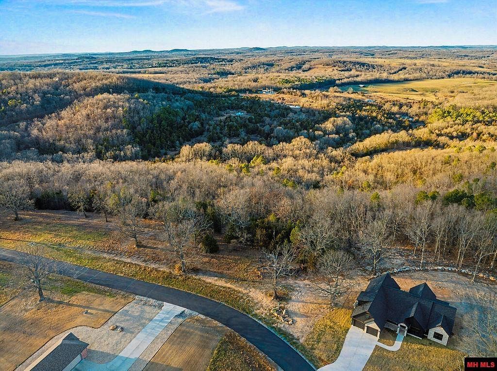 010-11219-014 Denmark Cir Mountain Home, AR 72653 - Thumbnail 5