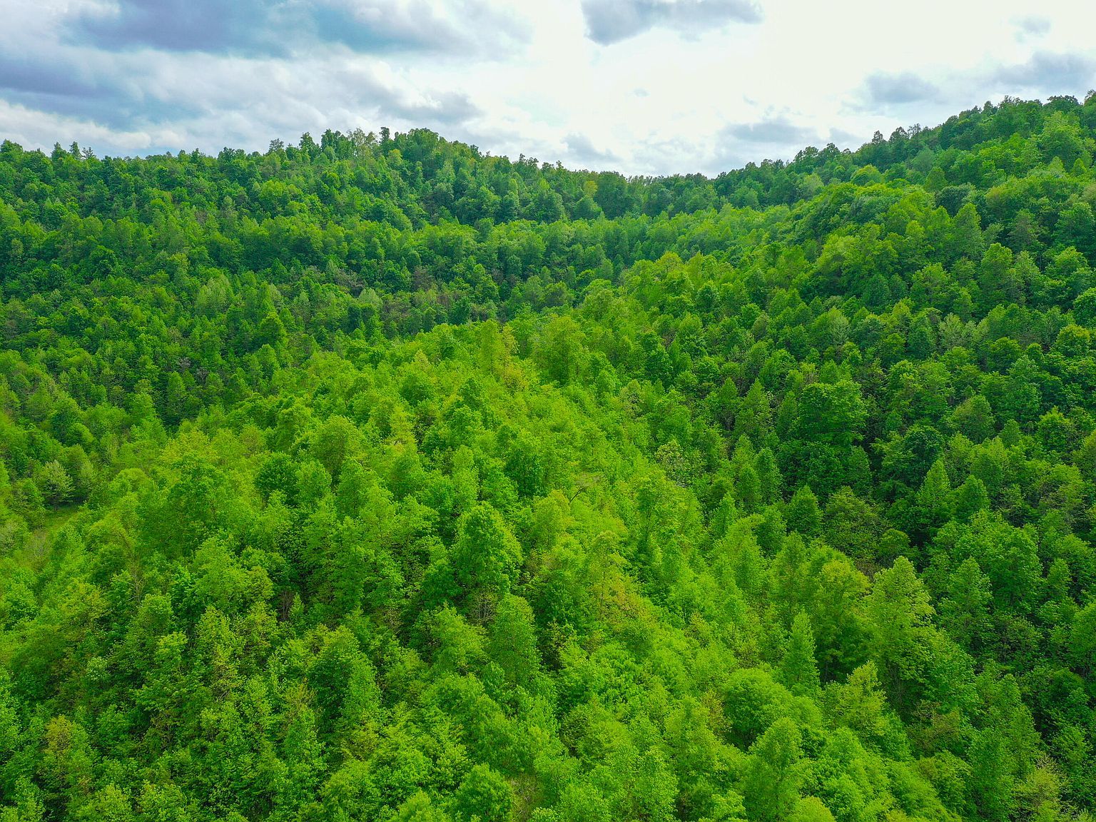 9999 Toby Rd LOT 6 Manchester, KY 40962 - Thumbnail 5