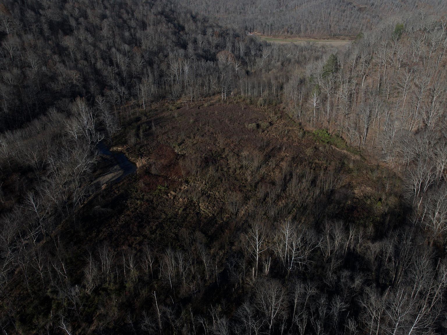 0 Eriline Rd Oneida, KY 40972 - Thumbnail 5