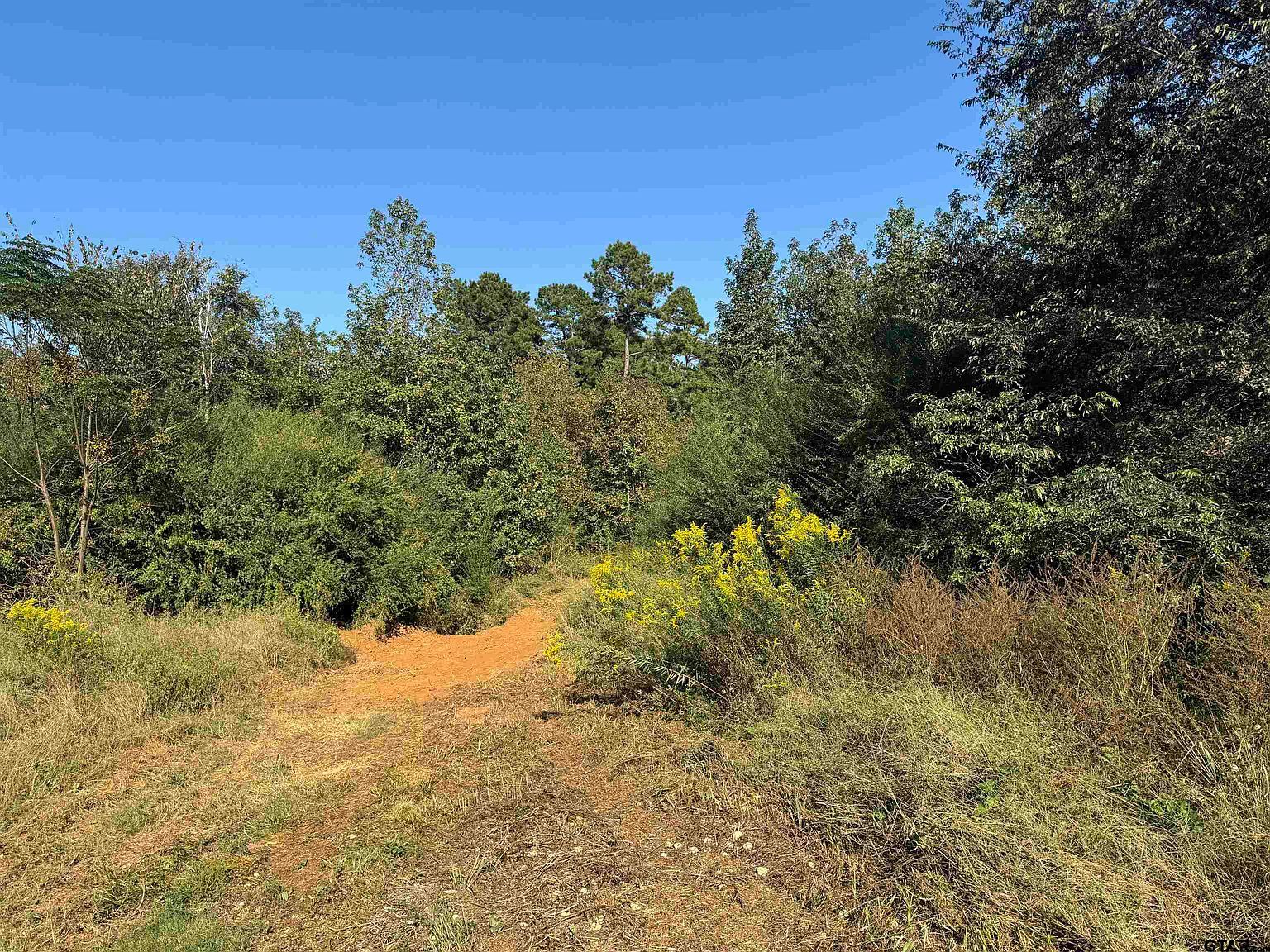 7079 Fm 241 Alto, TX 75925 - Thumbnail 5