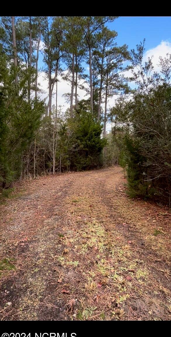 150 Styron Creek Rd Sealevel, NC 28577 - Thumbnail 5