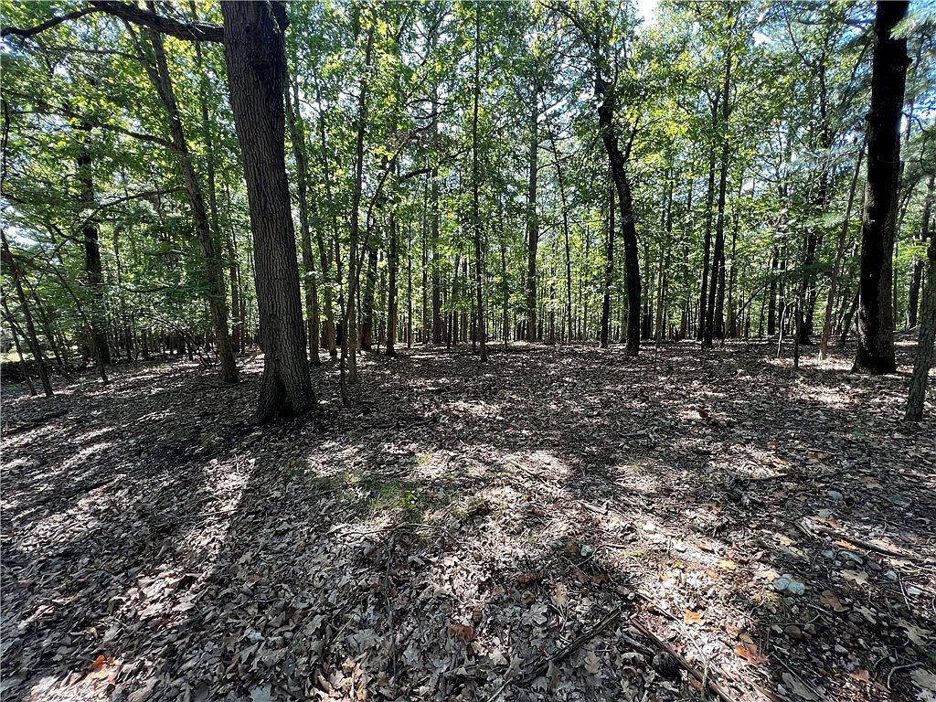 Shadow Ridge Rd #98 Kansas, OK 74347 - Thumbnail 5