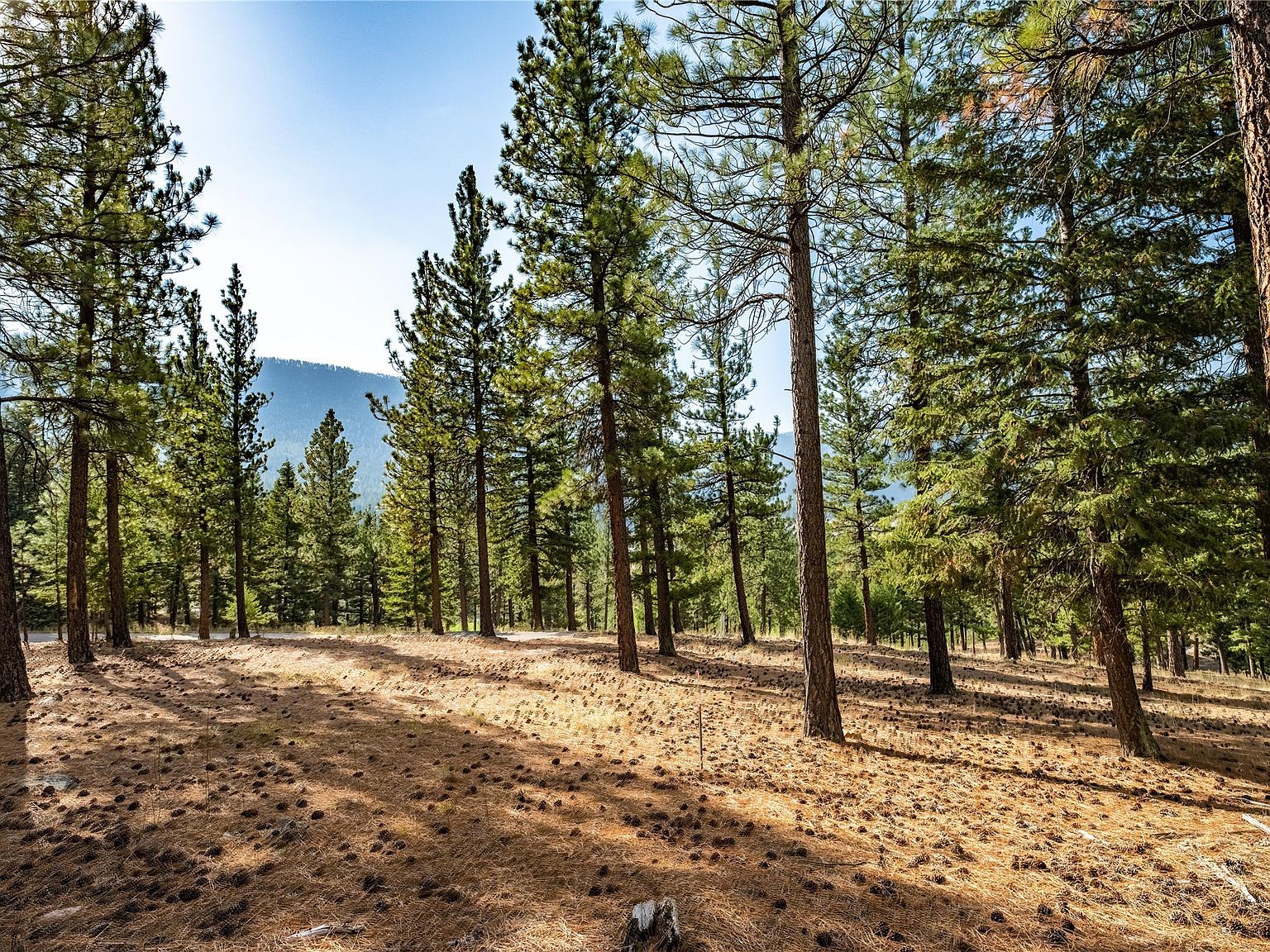 LOT 11 Stonefly Rd Clinton, MT 59825 - Thumbnail 5