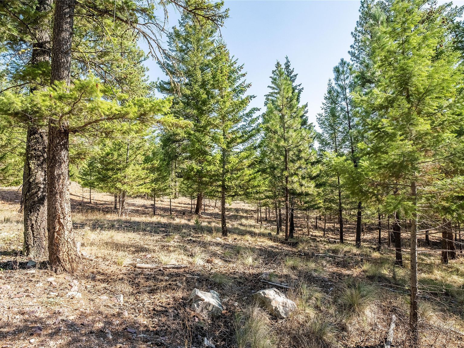 LOT 9 Stonefly Rd Clinton, MT 59825 - Thumbnail 5