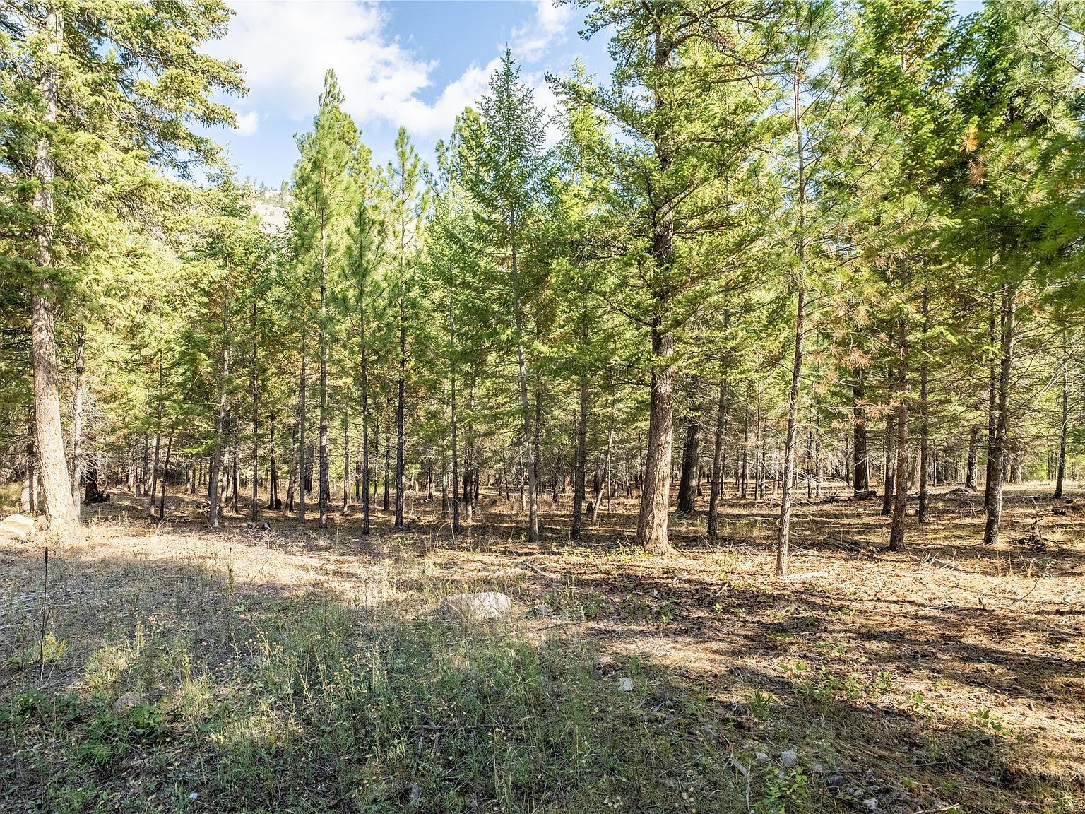 LOT 2 Caddisfly Ct Clinton, MT 59825 - Thumbnail 5
