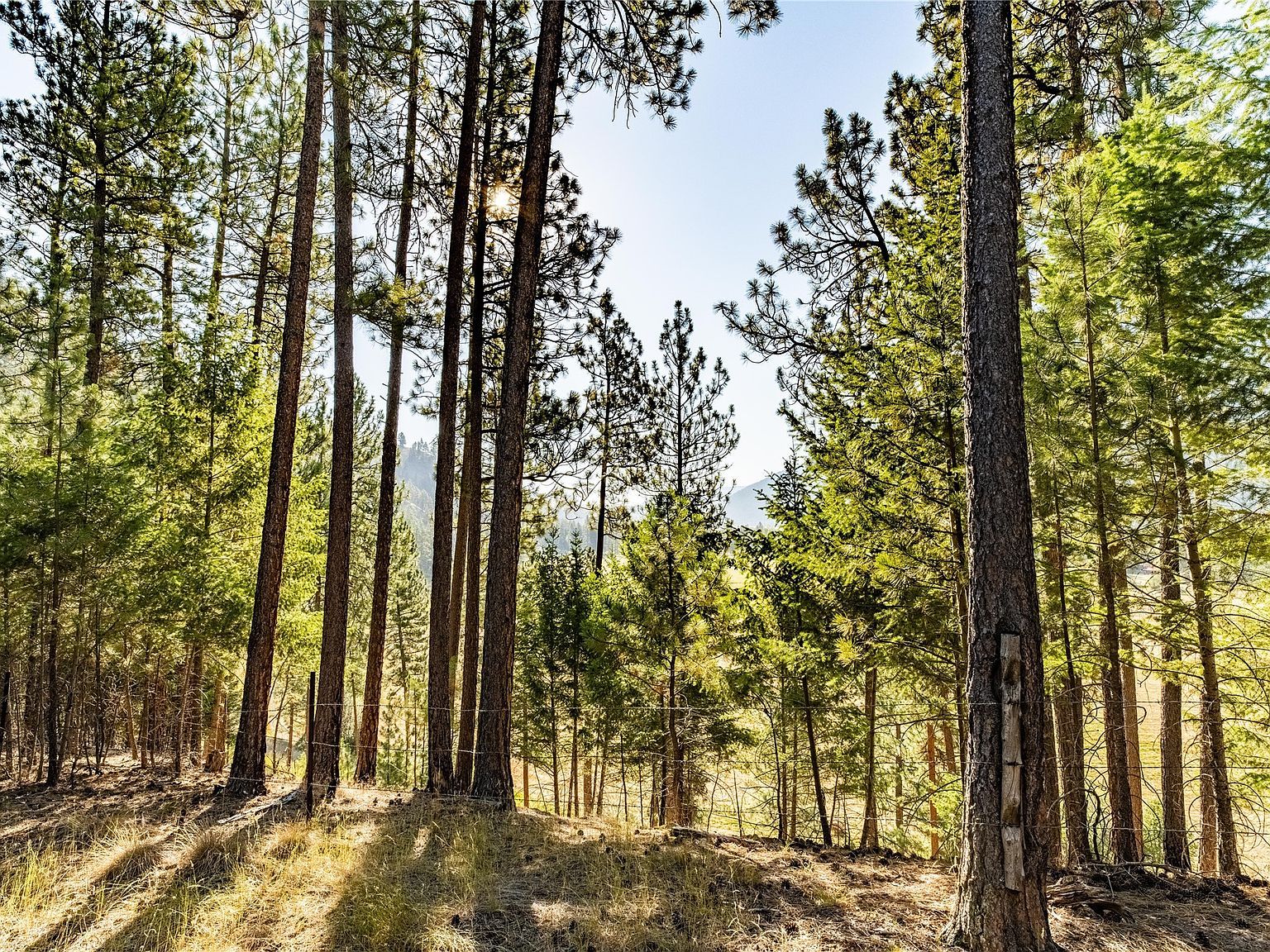14297 Caddisfly Ct Clinton, MT 59825 - Thumbnail 5
