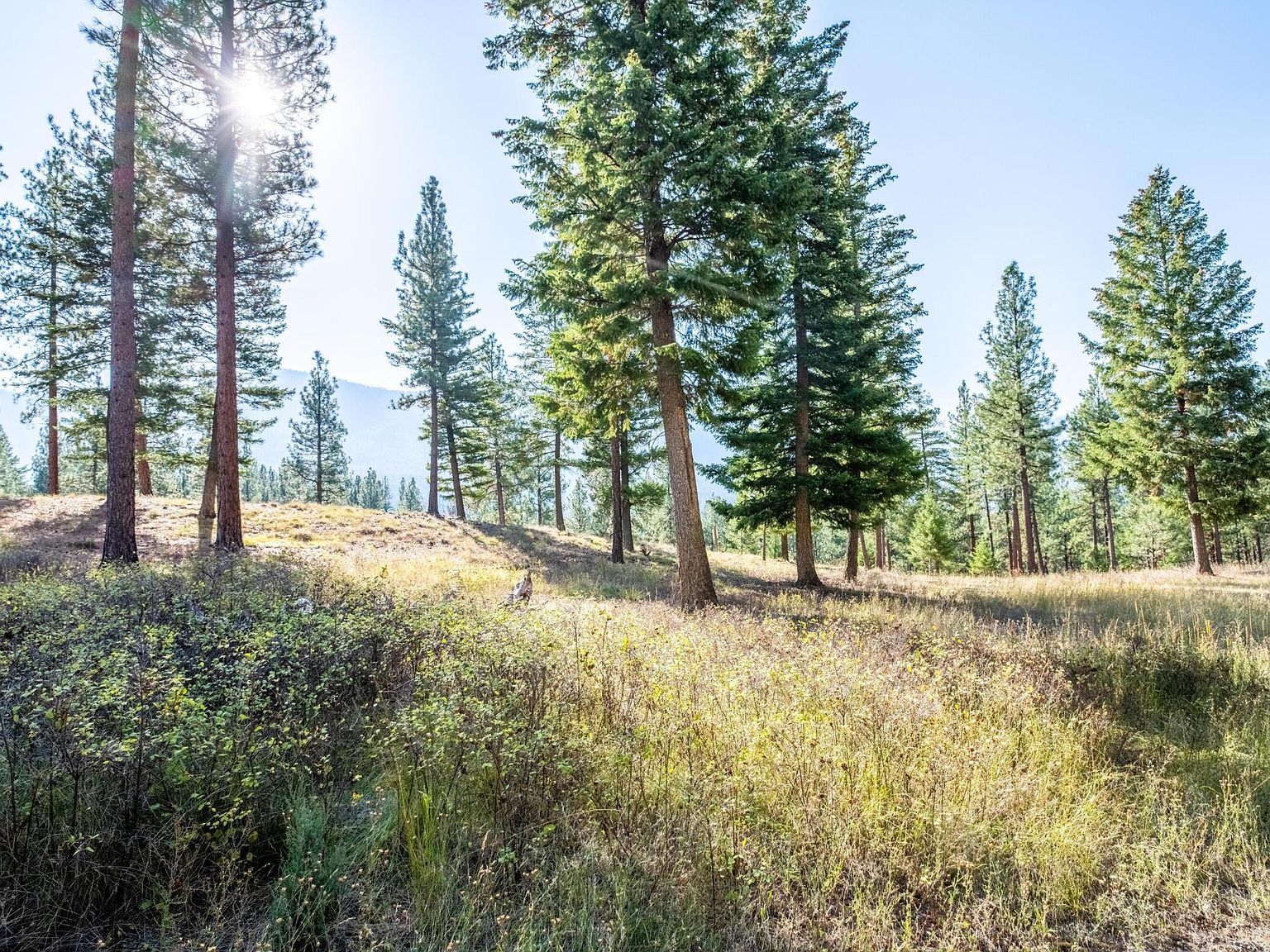 LOT 15 Muddler Ct Clinton, MT 59825 - Thumbnail 5