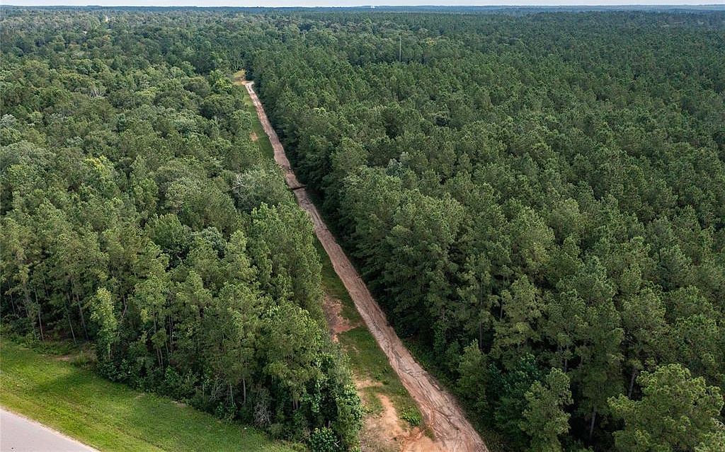 10775 Ruger Rd Willis, TX 77378 - Thumbnail 5