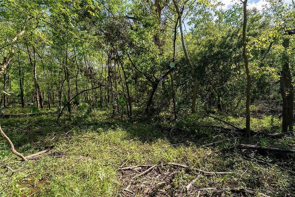 11623 & 11625 Cool Shadows Dr Houston, TX 77044 - Thumbnail 5