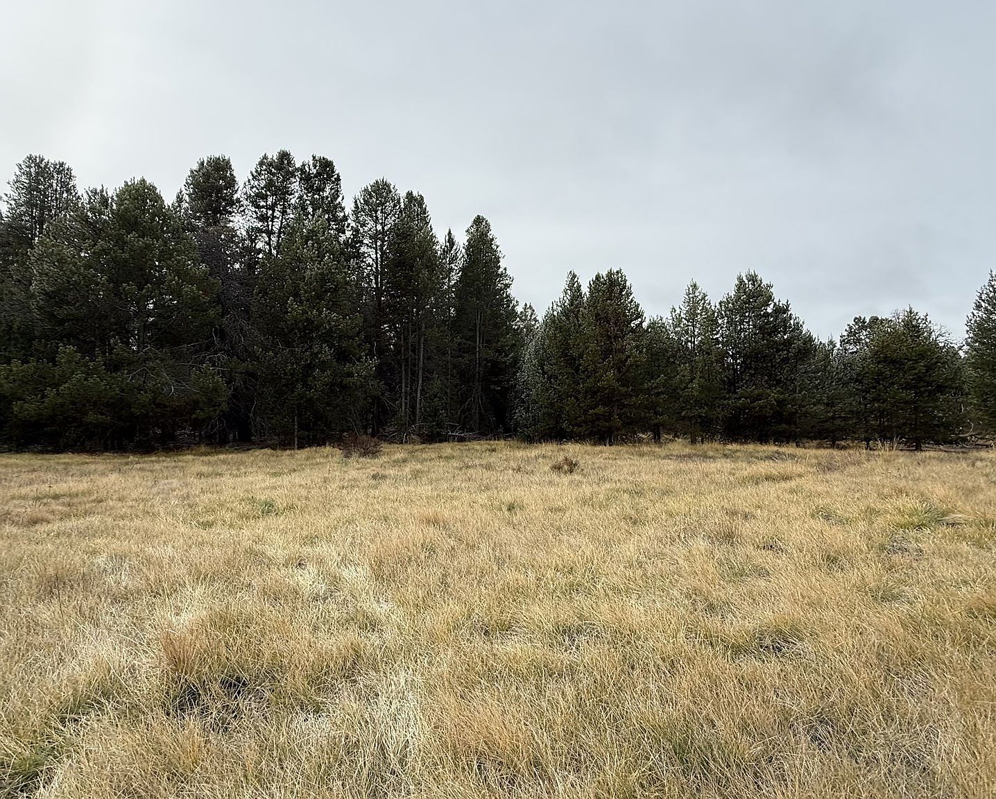 0 National Forest Rd #7646 Chiloquin, OR 97624 - Thumbnail 5