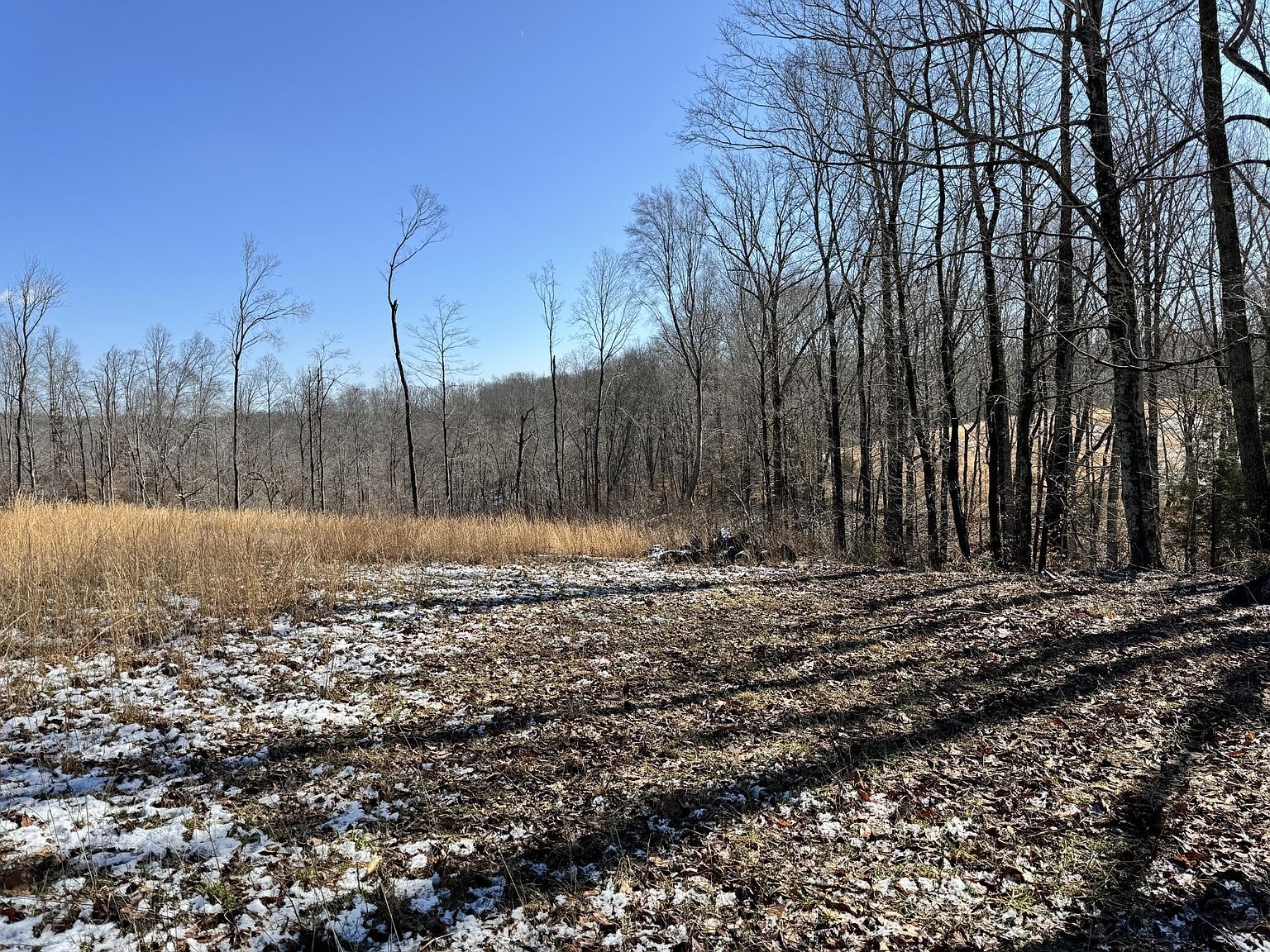 1 Carney Winters Rd LOT 1 Ashland City, TN 37015 - Thumbnail 5