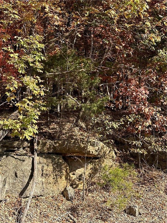 Woodside Ln #1 Eureka Springs, AR 72631  | Land/Lot