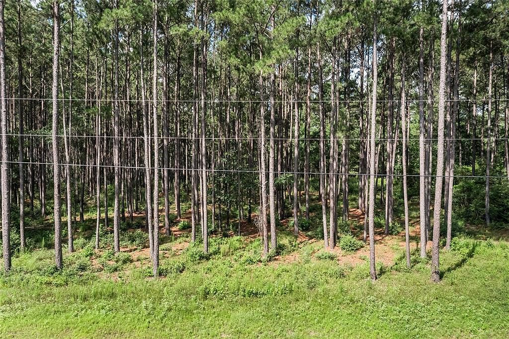 4A-16-31 Branding Iron Rd Huntsville, TX 77340 - Thumbnail 5