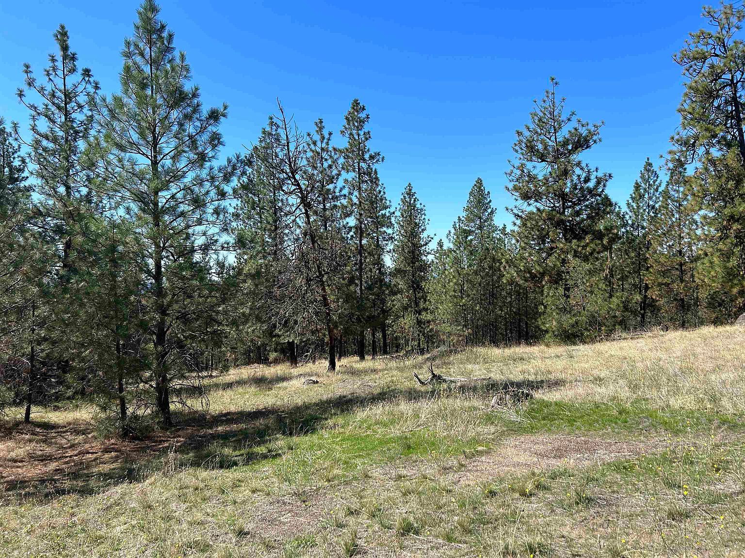 Nna Corkscrew Canyon Rd Tumtum, WA 99034 - Thumbnail 5