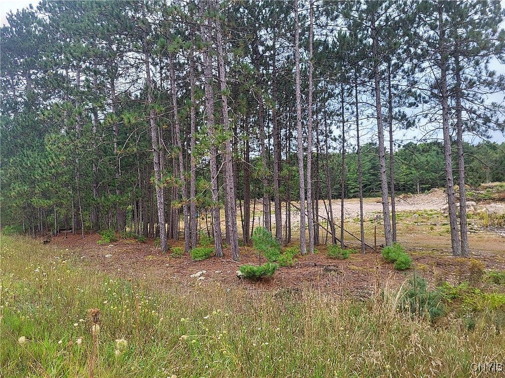 2321 State Route 3 #35 Fine, NY 13639 - Thumbnail 5