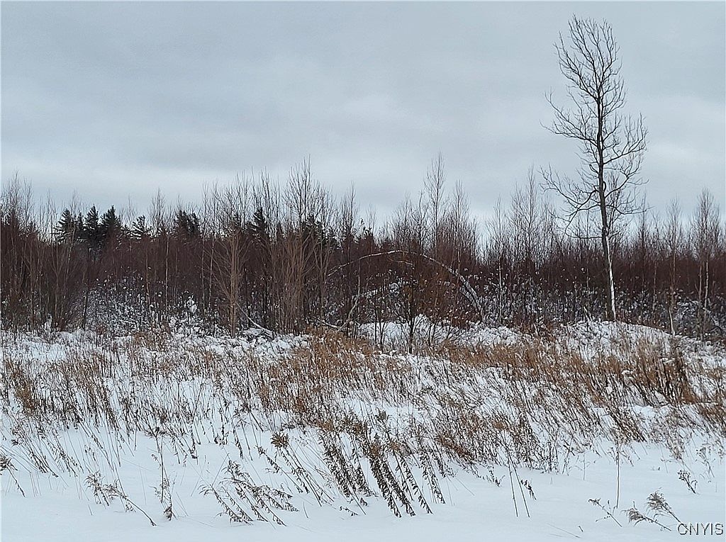 0 Ridge Rd Fine, NY 13639 - Thumbnail 5