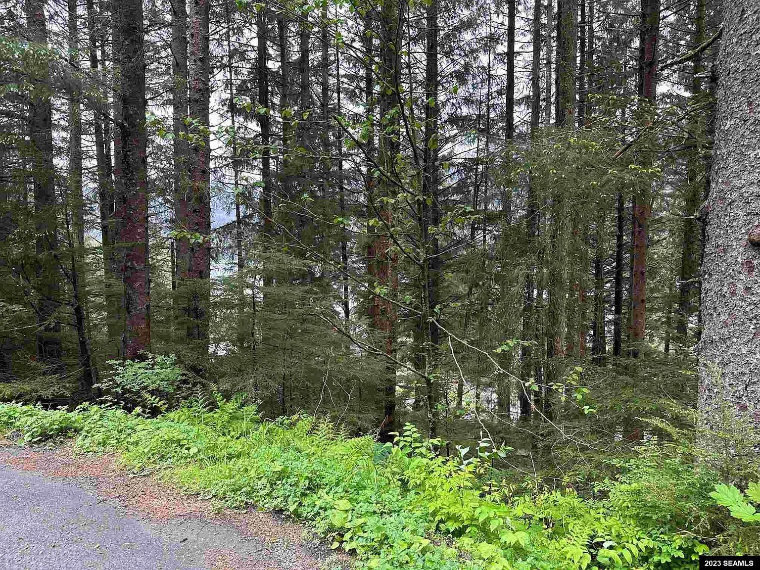 1853 Bartlett Ave Juneau, AK 99801 | Multi Family