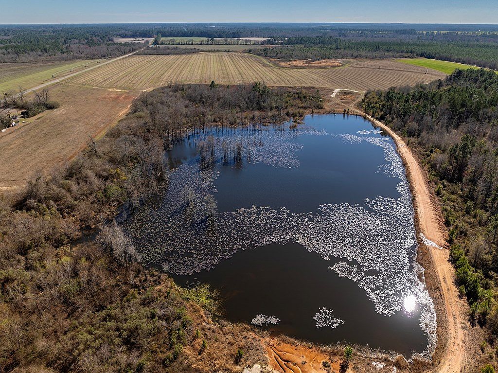 720 Vanceville County Line Rd Tifton, GA 31794 - Thumbnail 5