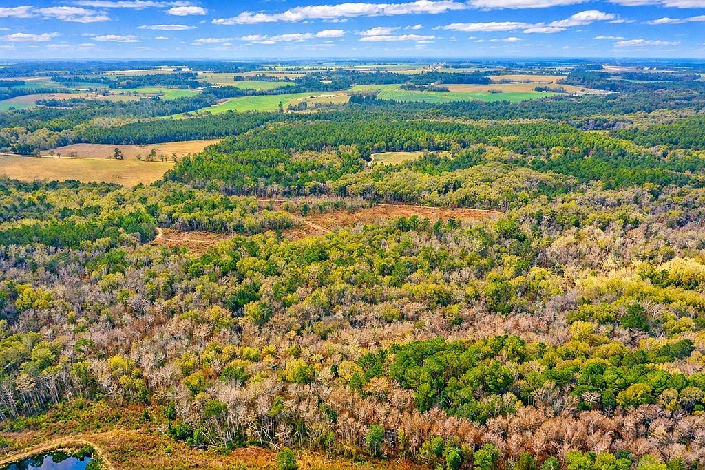 0 Omega Eldorado Rd Tifton, GA 31793 - Thumbnail 5