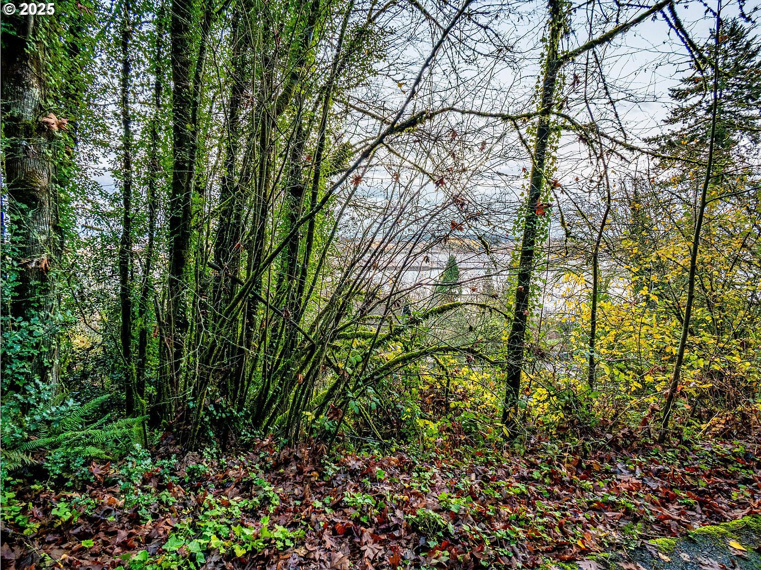 9991 NW Wilark Ave Portland, OR 97231 - Thumbnail 5