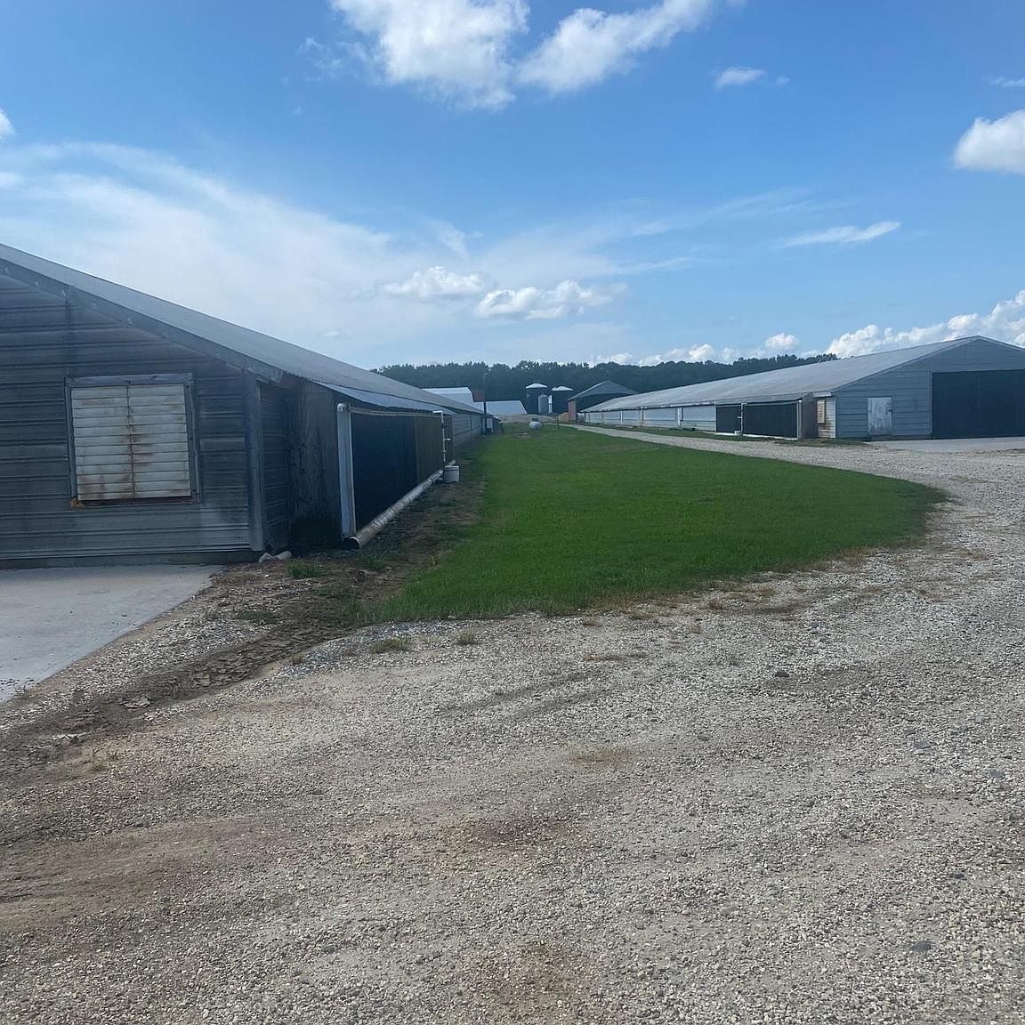 30560 Charles Barnes Rd Westover, MD 21871 - Thumbnail 5