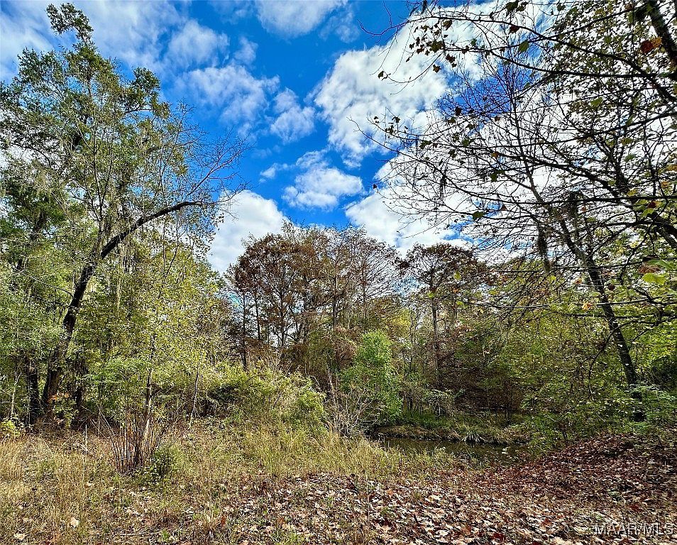 2 Bel Ru Lndg Autaugaville, AL 36003 - Thumbnail 5