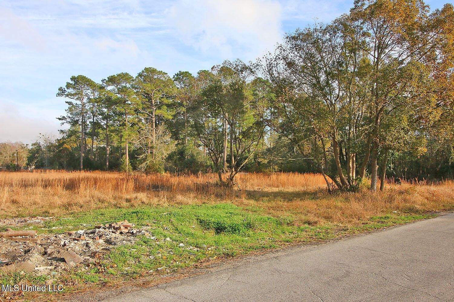 Mill St LOT 17, Moss Pt, MS, 39563 - Thumbnail 5