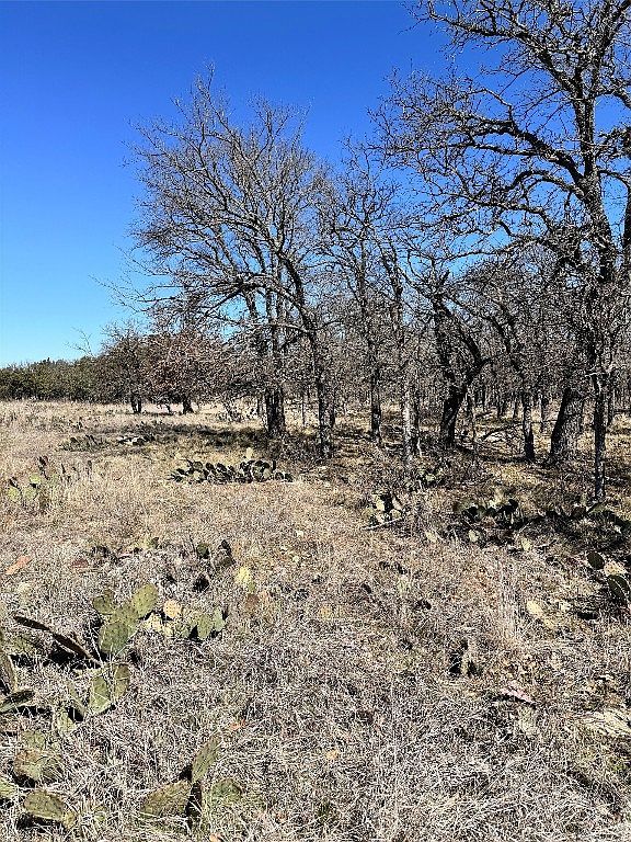 136 Red Oak Dr May, TX 76857 - Thumbnail 5