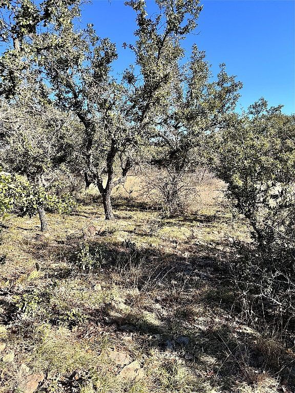 349 Oak Point Dr May, TX 76857 - Thumbnail 5